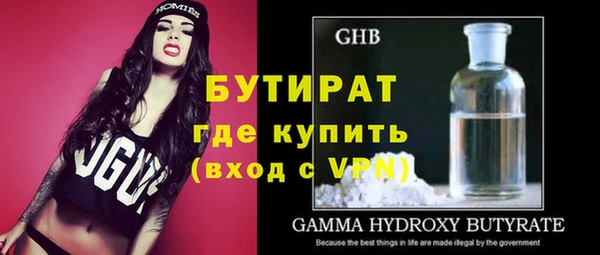 соль ск Дмитриев