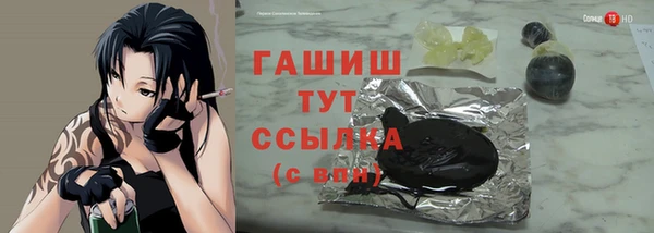 соль ск Дмитриев