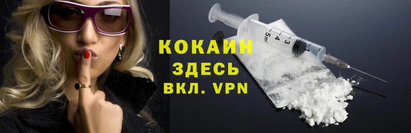 гашик Дмитровск