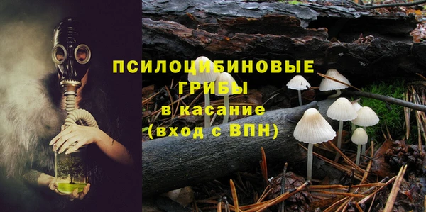 прущая мука Остров