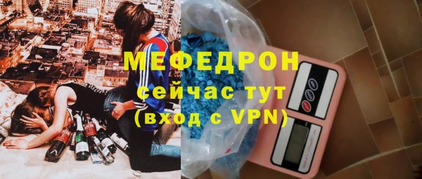 соль ск Дмитриев