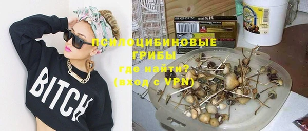 гашик Дмитровск