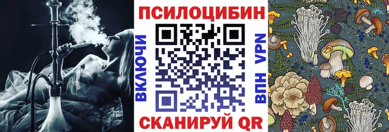 где найти   Никольск  Галлюциногенные грибы Cubensis 